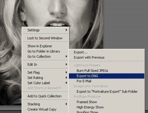 Uporaba Lightroom Presets v Camera RAW