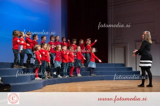 Območna revija otroških pevskih zborov Maribor 2014, Mladina poje 3