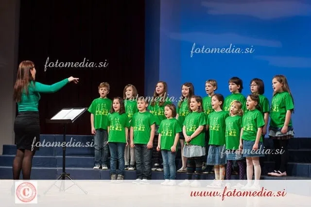 Območna revija otroških pevskih zborov Maribor 2014, Mladina poje 3