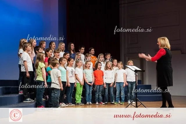 Območna revija otroških pevskih zborov Maribor 2014, Mladina poje 3