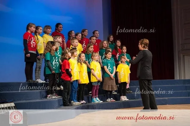 Območna revija otroških pevskih zborov Maribor 2014, Mladina poje 3